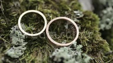 结婚戒指在树皮上的苔藓宏观特写金<strong>钻石珠宝</strong>